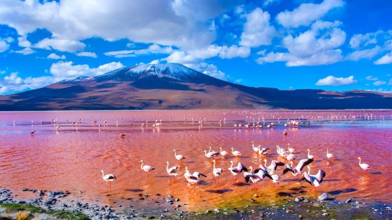 Wisata Alam Menakjubkan Di Bolivia Yang Wajib Di Kunjungi!