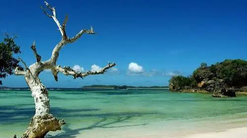 Wisata Di Kupang NTT Yang Harus Di Kunjungi